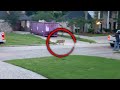 Is This Tiger Roaming a Neighborhood Someone's Pet?