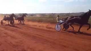 1. laiza 2.griego 3.paciencia. hipodromo de limeira.
