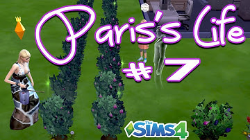 [HappyDreams] The Sims 4 - Paris
