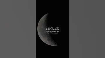 سورة لقمان- صلاح بوخاطر 🌙🌹