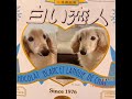 北海道の良いところ紹介！！〜新千歳空港でオリジナル写真入の白い恋人缶を作ってみた！〜