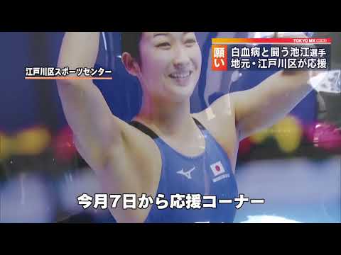 競泳・池江選手に闘病応援メッセージを　東京・江戸川区