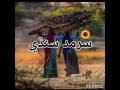 جڈیں کھیت میں باجرین سنگ واریا سرمد سندی گانو