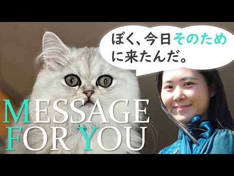 【動物と話す】ごさくLIVE第103回MESSAGE FOR YOU「ぼく、今日そのために来たんだ。」まりもくん