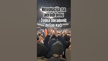 Revolution at Nikola Tesla Airport in Belgrade - Željko Obradović came home