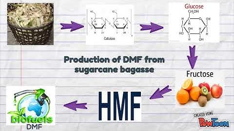Production of 2,5-Dimethylfuran
