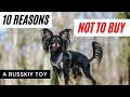 10 reasons NOT to buy a Russian Toy/ Russkiy Toy の動画、YouTube動画。
