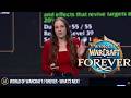 World of Warcraft Forever - What's Next Panel (No Commentary)