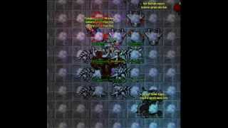 Tibia Hunting Hellgorak.