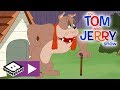 Tom and Jerry 2019 ✤  Litte Chicken ✤ Classic Animated Movie for kids ✤✓