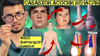 видео: Кадом беморихои кудакона сабаби бенасли мегарданд?Чихел муаян кунем, ки аз кадом сабаб фарзанд нашуд картинка: Кадом беморихои кудакона сабаби бенасли мегарданд?Чихел муаян кунем, ки аз кадом сабаб фарзанд нашуд