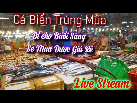(#17)Chợ Bình Điền