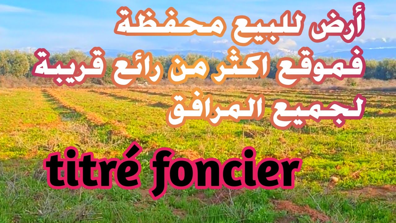 أرض للبيع محفظة فموقع ياسلام بثمن مناسب $0605668188 مرحبا بالجميع 