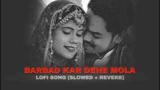 Barbad Kar Dehe Mola | Cg Lofi Song | Nitin Dubey | Himanshu Yadav  Kajal | Rj lofi