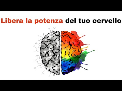 Video: Vittoria ad ogni costo: cosa ci aspettava in caso di sconfitta nella seconda guerra mondiale?