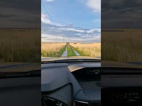 Дожди 💦🍄🌾