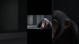 My favorite JunkyJanker moment