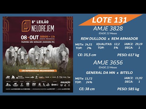 LOTE 131