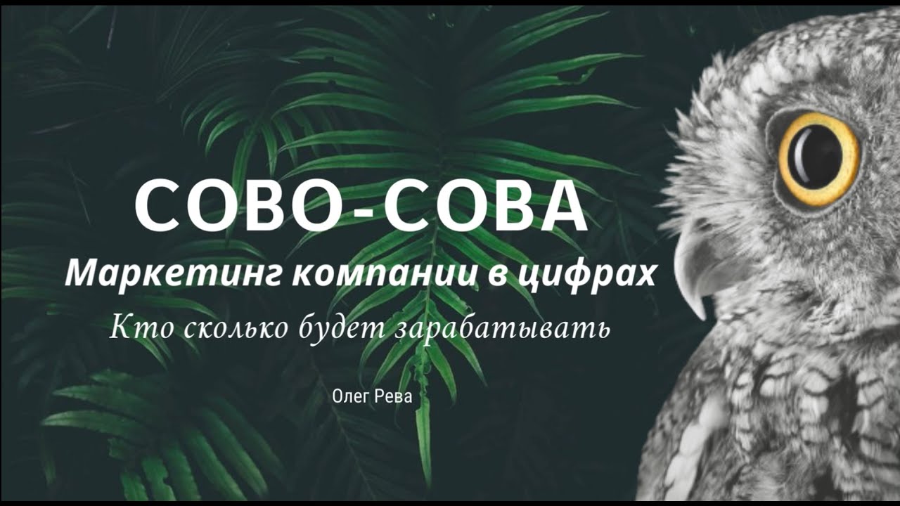 Сайт сова https sovainfo ru. Сово Сова маркетинг план компании. Сова. Сово Сова. Компания Сова Сова.