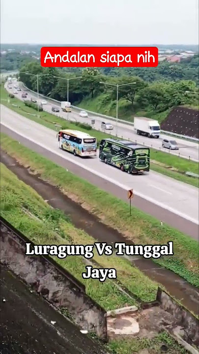 Balapan bus Luragung vs Tunggal Jaya #fyp #buscepat #cipali #tolcipali #busmania #busmalam #luragung