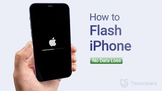 How to Flash iPhone 6/6S/7/8/X/11/12/13 screenshot 4