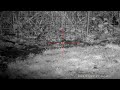 RAT PEST CONTROL - WATCH THEM FALL. HEAD SHOT COMPILATION 