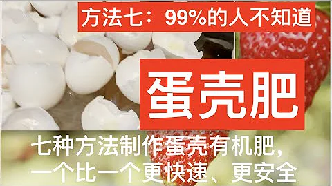 蛋殼 肥，7種方法，更快速、更奇效！ - 天天要聞