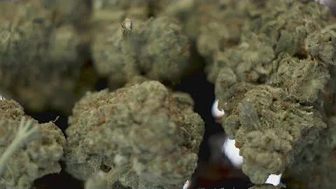 Ban on THC products in Texas heads to Gov. Abbott’s desk after Senate agrees to House changes