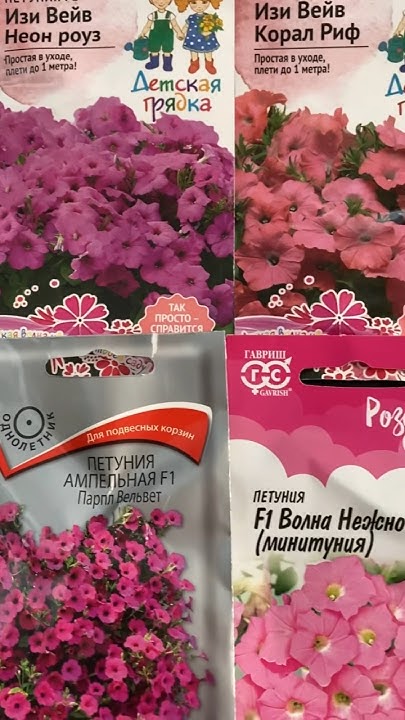 ПОСЕВ АМПЕЛЬНОЙ ПЕТУНИИ В ТОРФЯНЫЕ ТАБЛЕТКИ #рекомендации #петуния # ...