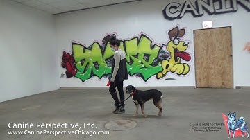 Jane: Lesson 2 - Heel Pt 2, Using Body Language And Changes In Speed To Communicate, Adding Heel Cue