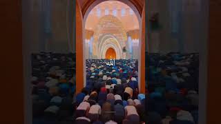 Download Lagu Maher Zain \u0026 Harris J - Qalbi Fil Madinah | Official Music Video ...YouTube · Awakening Music MP3 Download Lagu Maher Zain \u0026 Harris J - Qalbi Fil Madinah | Official Music Video ...YouTube · Awakening Music MP3