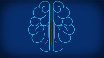 Citi: Celebrating Ten Years of Citi’s Innovation Lab Network