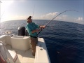 Offshore fishing  florida middle grounds