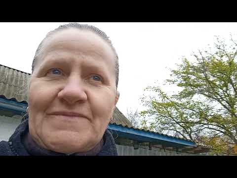 Хотіла одне а вийшло інше Сушу петрушку сільськийблог