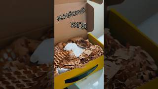 ✨ПРОДОЛЖАЮ ЗНАКОМИТЬСЯ С БРЕНДОМ «MISSHA»✨