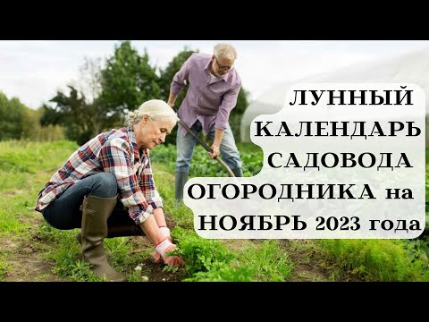 ЛУННЫЙ КАЛЕНДАРЬ САДОВОДА ОГОРОДНИКА - НОЯБРЬ 2023┃#луна #календарь #ноябрь #2023 #сад #совет #топ