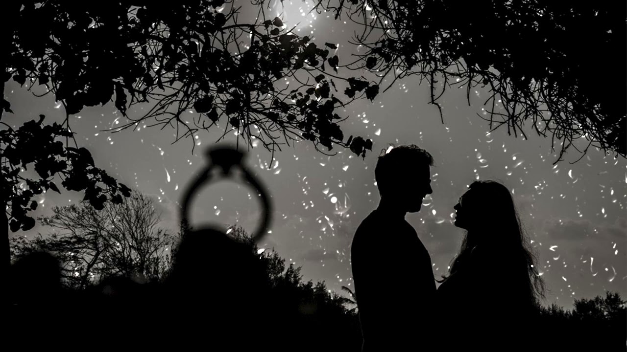 Cheb Amine 31- 3tini Galbak Nachrilek Polo  ( 𝐒𝐥𝐨𝐰𝐞𝐝 + 𝐑𝐞𝐯𝐞𝐫𝐛 )