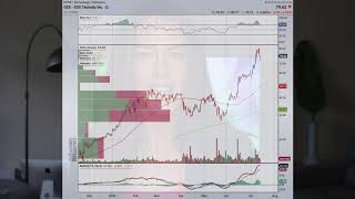 The Stock With The Bad Rep But A Good Price