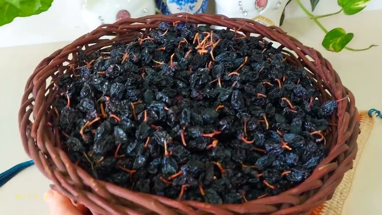 وشک کردنی ترێ بەشی دووەم تەواو بوون بەمێوژ drying finished with raisins part two