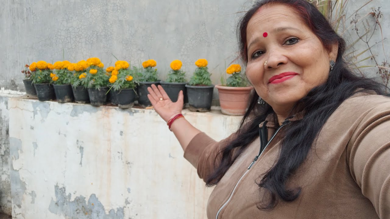 सुबह की राम राम नमस्ते गुड मॉर्निंग मैं बहुत मेहनत कर रही हूं # sunita ka bageecha🙏♥️🙏