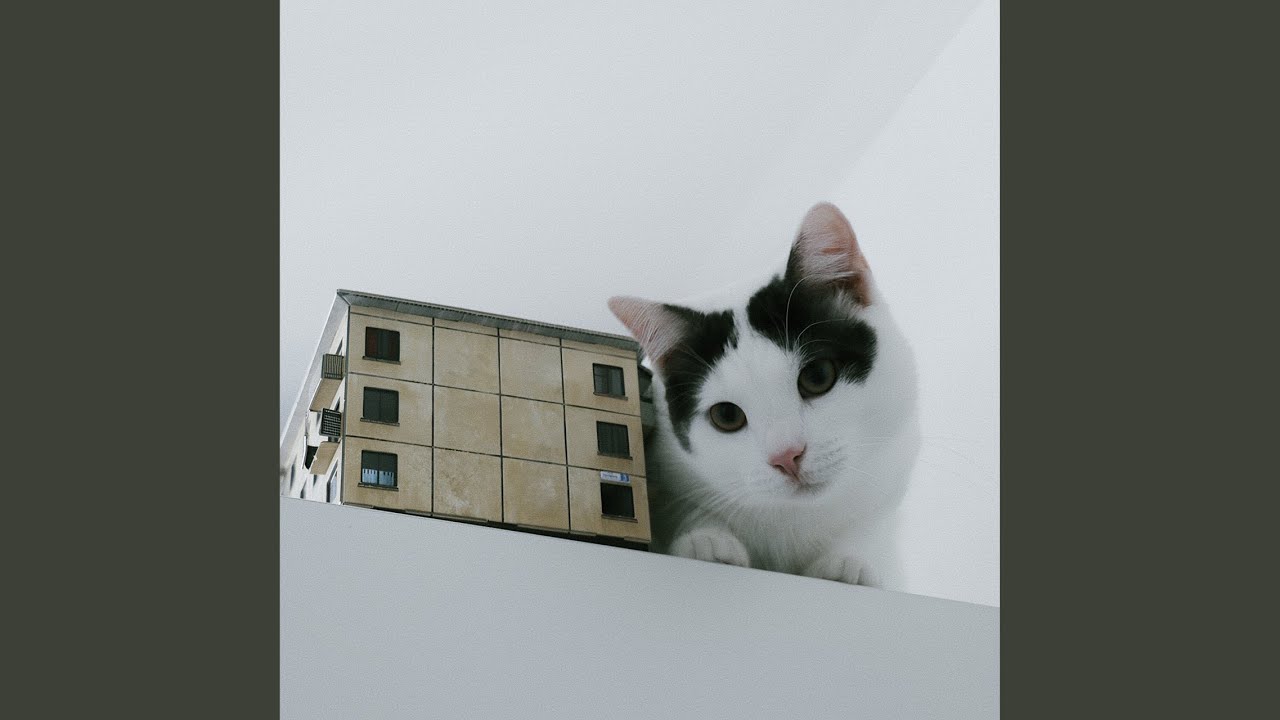 Obejrzyj Вопросы w YouTube Obejrzyj Вопросы w YouTube