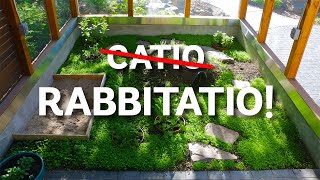 We Built A Patio For Our Rabbits — Welcome to the Rabbitatio!