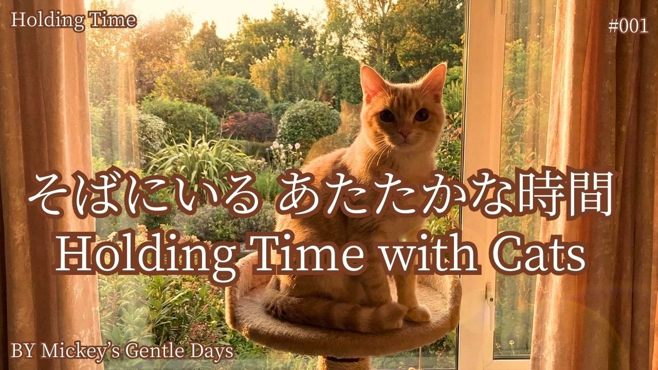 【寄り添う】猫と穏やかに過ごすBGM｜Holding Time #001｜Warm Ambient Music for Being with Cats