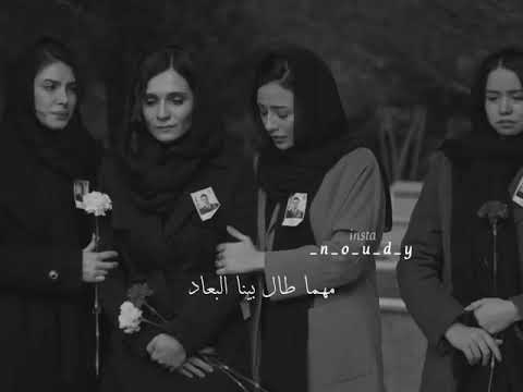 سيبني أقولك قد إيه وازاي بحبك