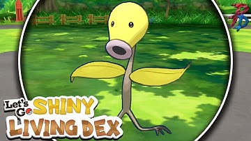 Shiny Bellsprout Reaction in Pokemon Let