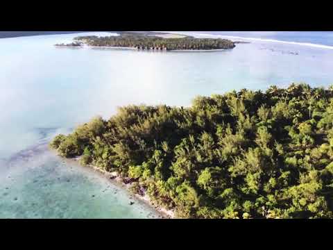 Vídeo: Imágenes De Un Oasis Polinesio: Mitiaro, Islas Cook - Matador Network