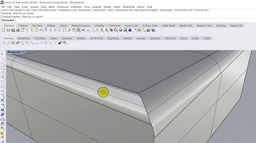 Rhinoceros Lesson 13 Fillet Edge