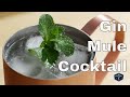🔞 How To Make A Gin Mule Cocktail