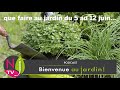 QUE FAUT-IL FAIRE DANS LE JARDIN DU 5 AU 12 JUIN ? LES BONS CONSEILS PRATIQUES DE PATRICK ET ROLAND