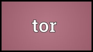 Tor Meaning